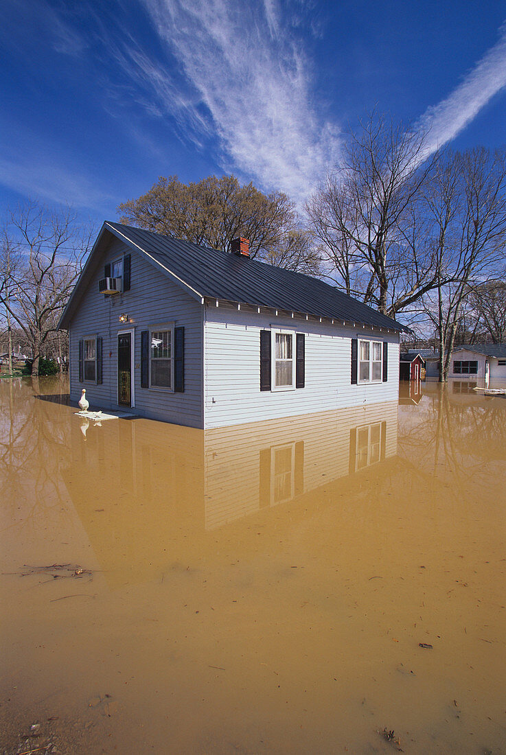Ohio River Flood