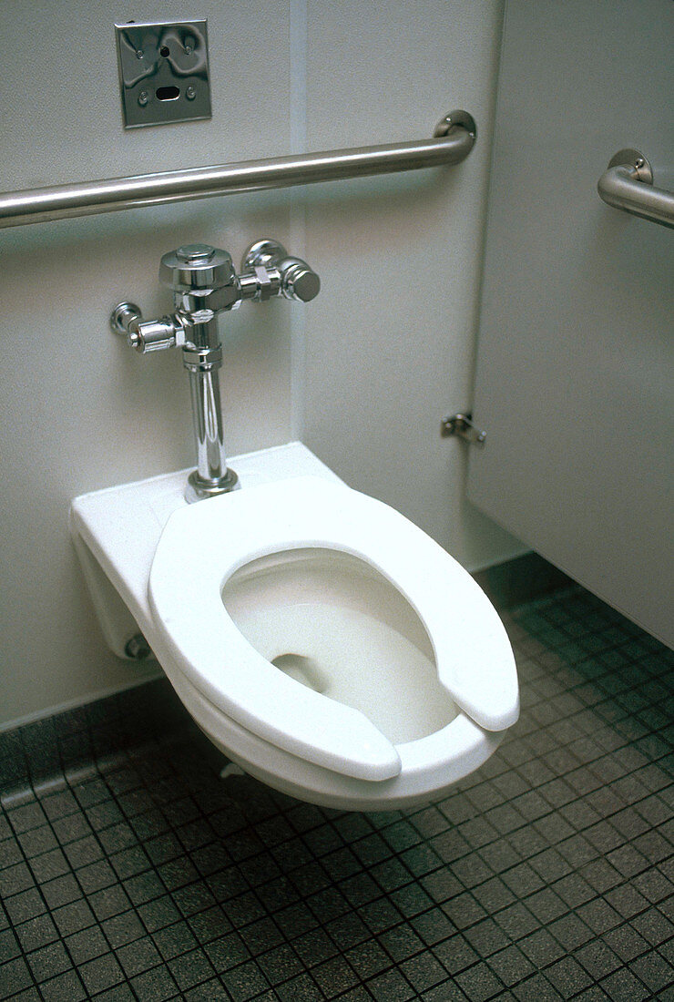 Handicapped Public Toilet