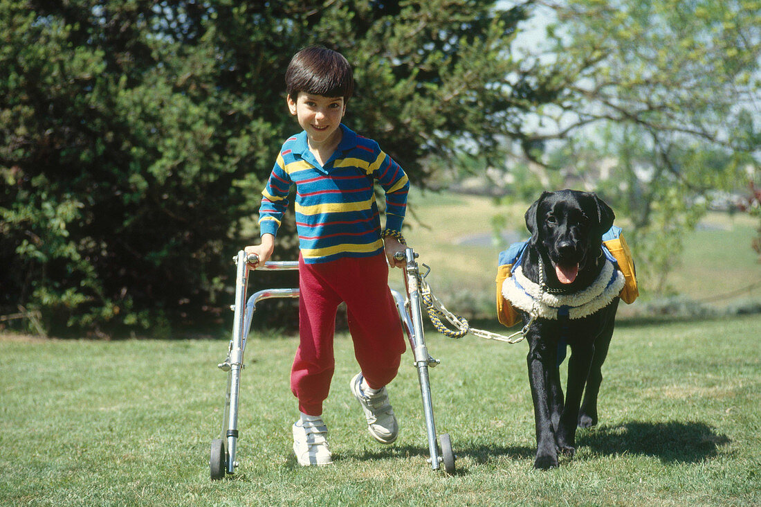 Aide Dog and Disabled Child