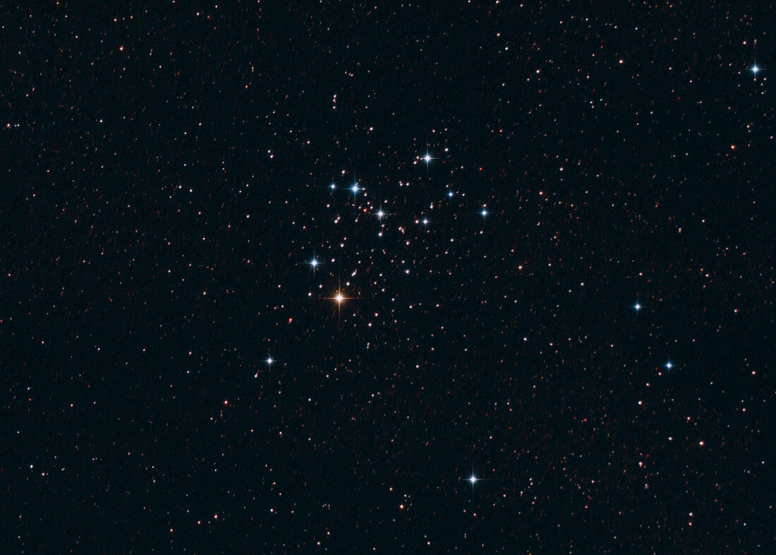 M6 Open Star Cluster
