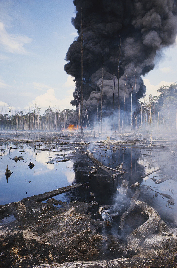 Controlled Burn of Seepage Oil,Indonesia