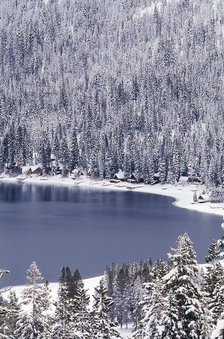 Lake Tahoe in Winter