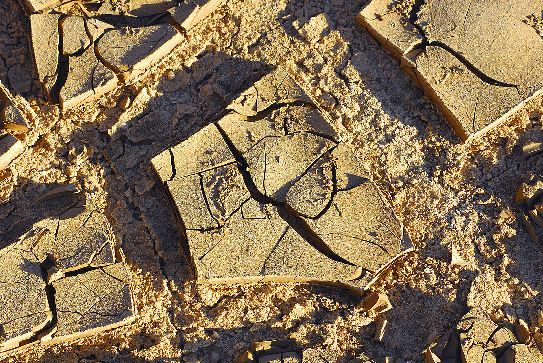 Closeup of drying river silt