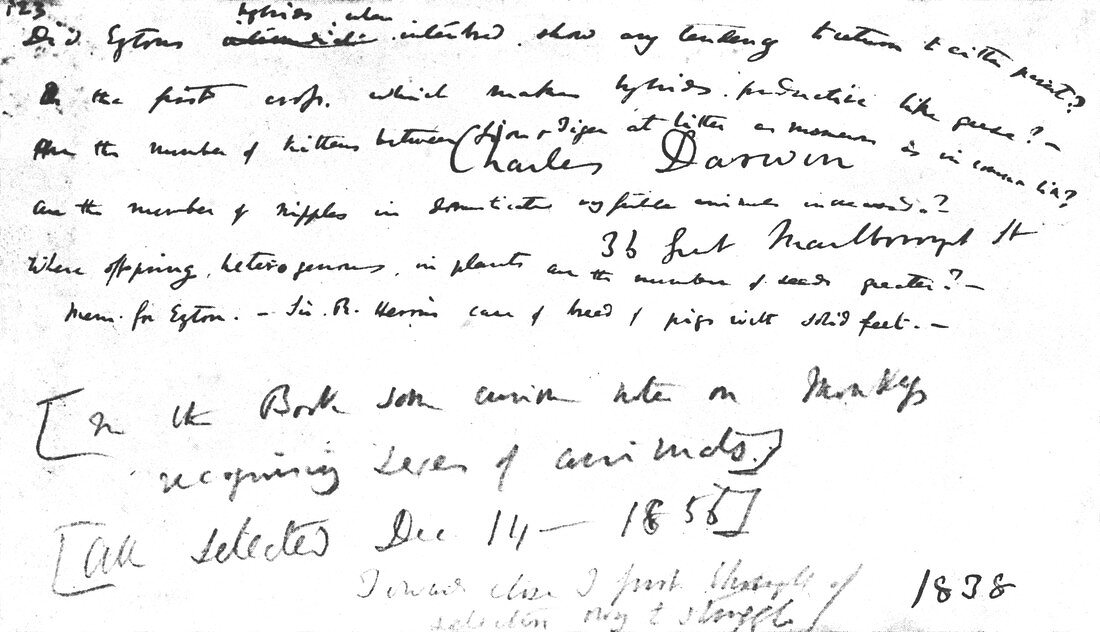 Page from Darwin's Notebooks