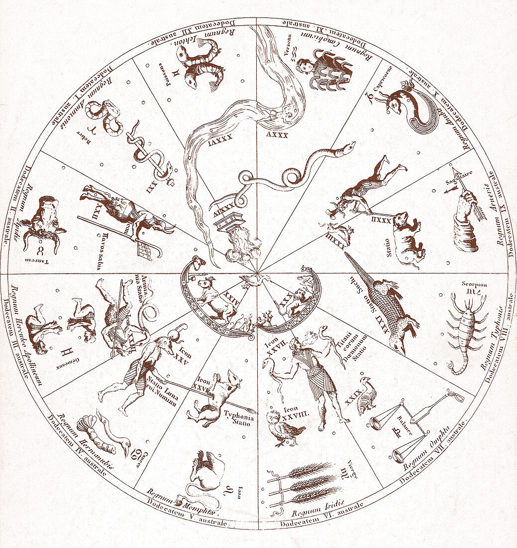Star Map from 'Oedipus Aegyptiacus'