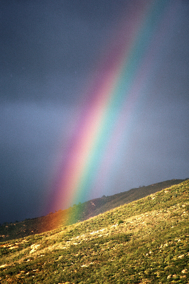 Rainbow over Palomar Mountain