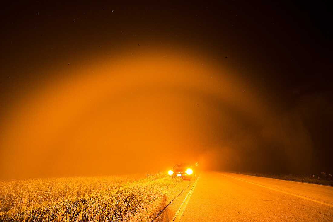Street Light Fogbow