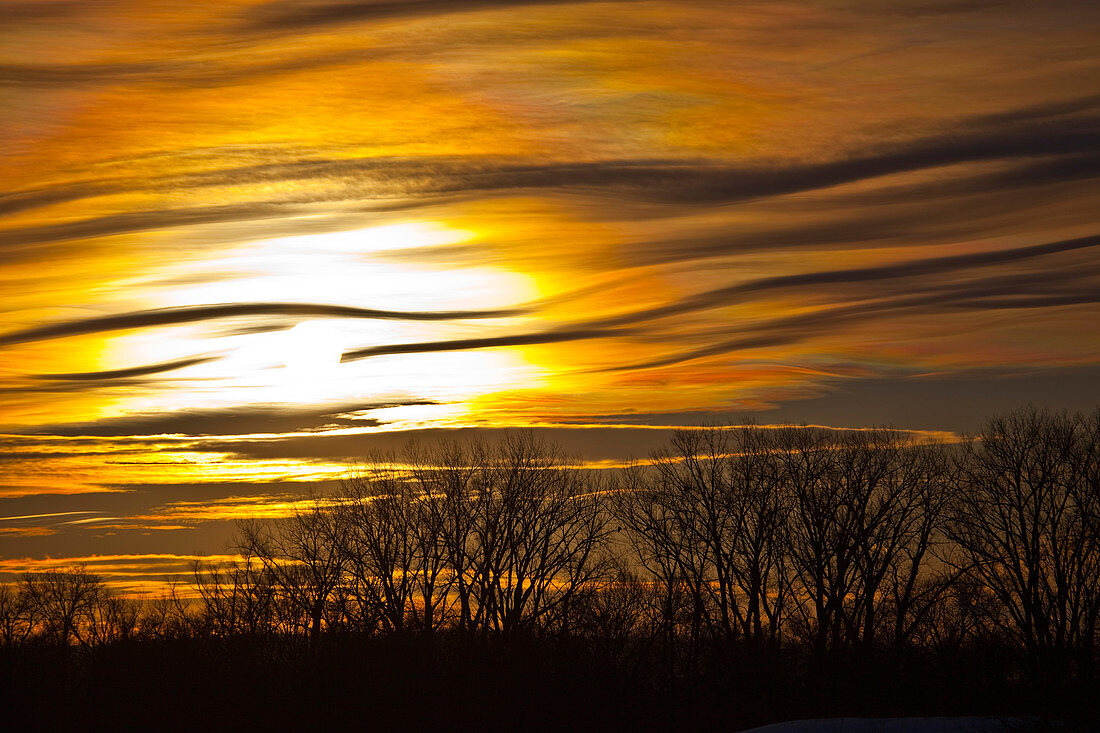 Sun Corona and Iridescence