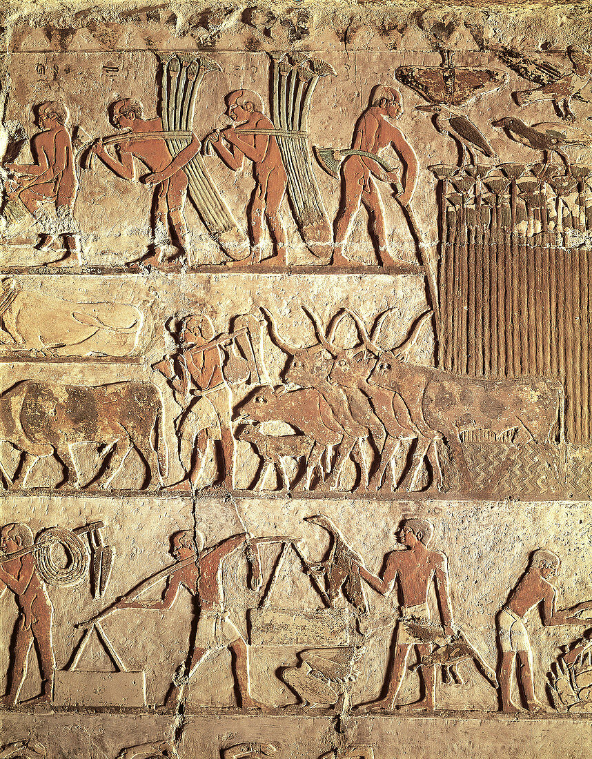 Egyptian Relief