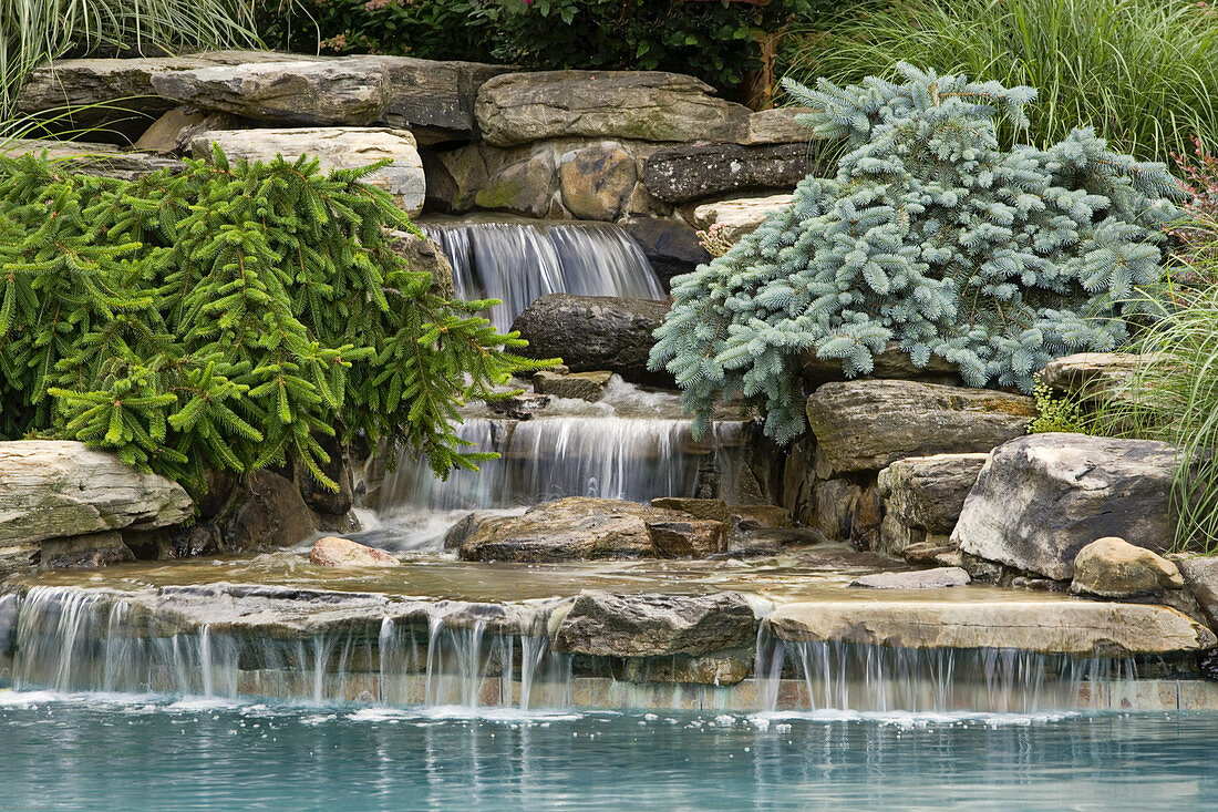 Pool,waterfall and conifers