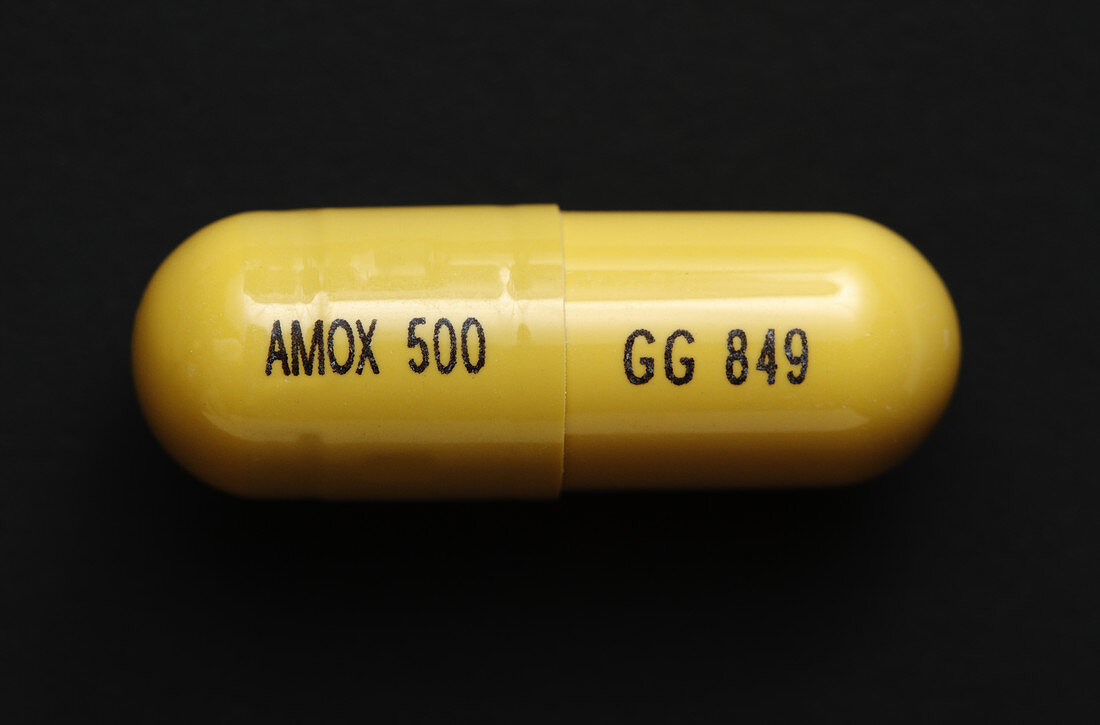 Amoxicillin capsule