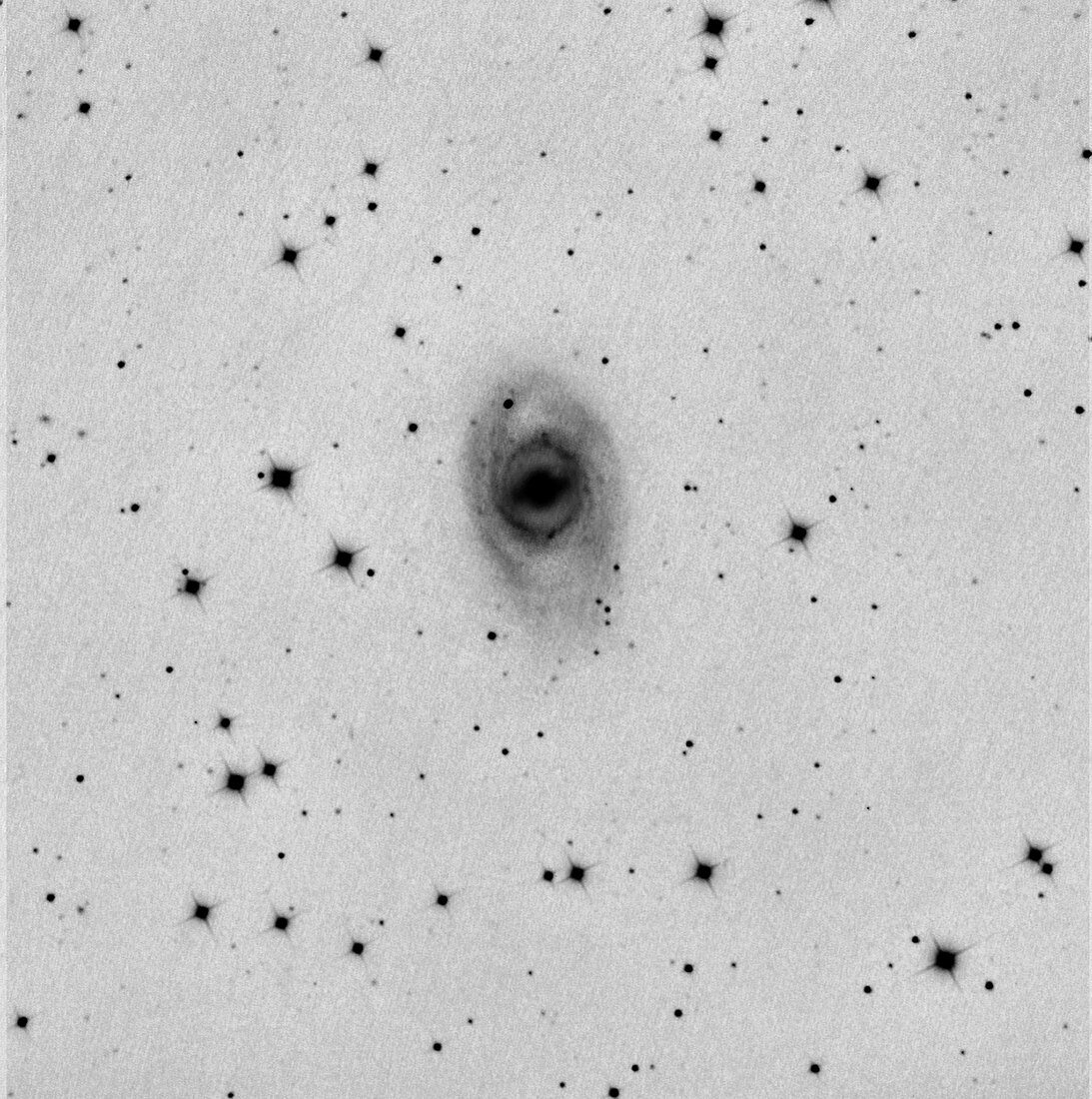 Supernova 2012aw