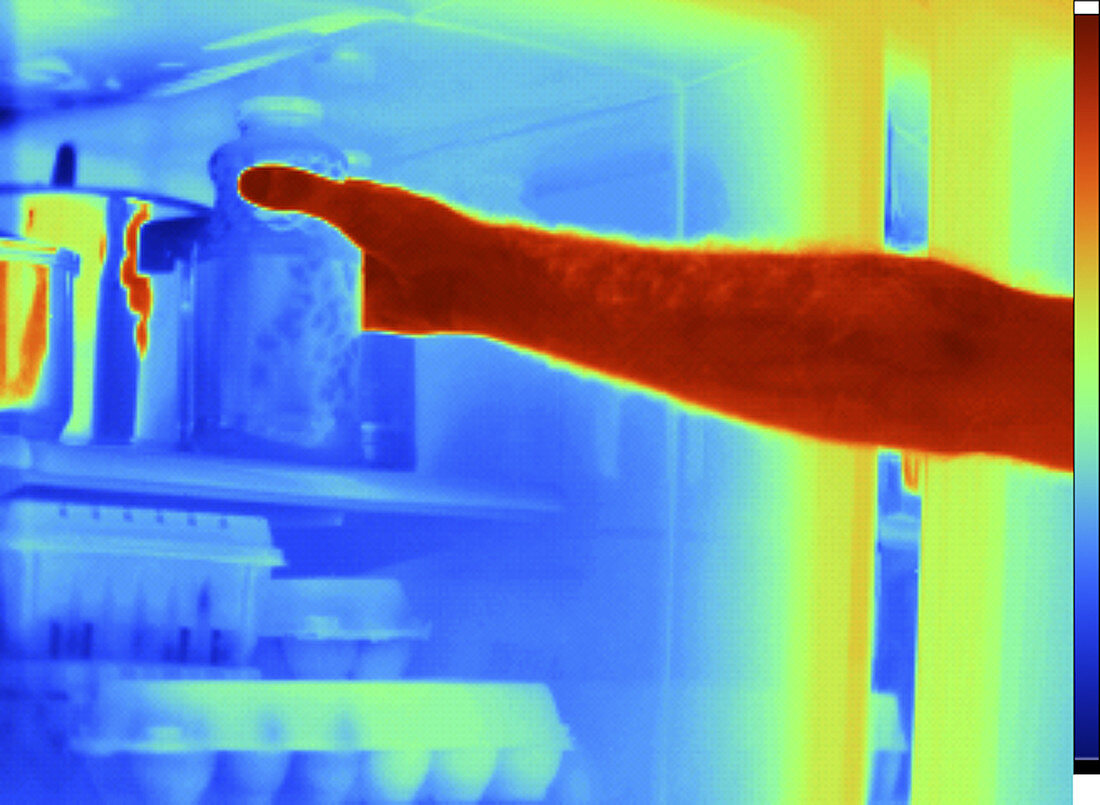 Thermogram of Hand in Refrigerator
