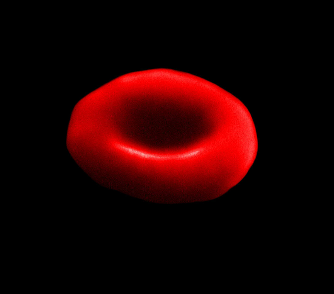 Red Blood Cell