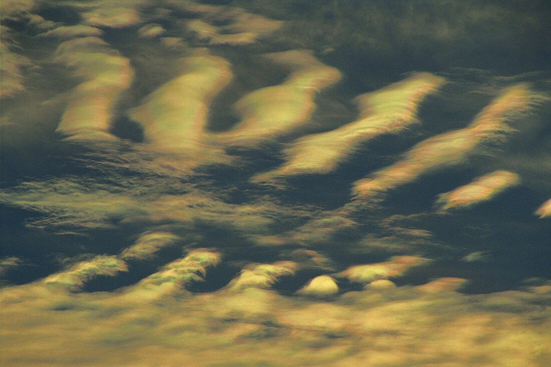 Altocumulus Clouds