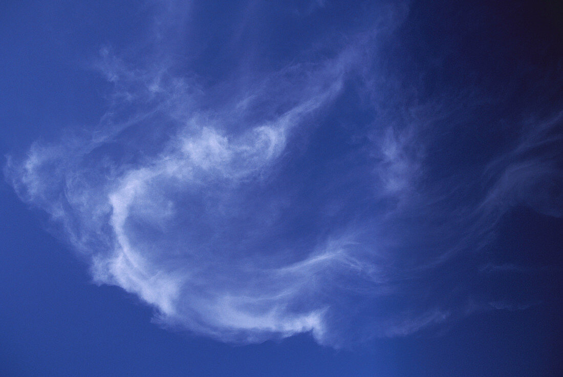 Cirrus Fibrates Clouds