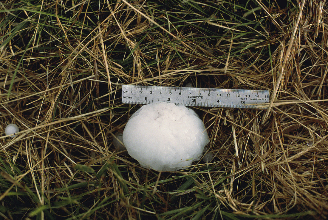 Softball Sized Hailstones