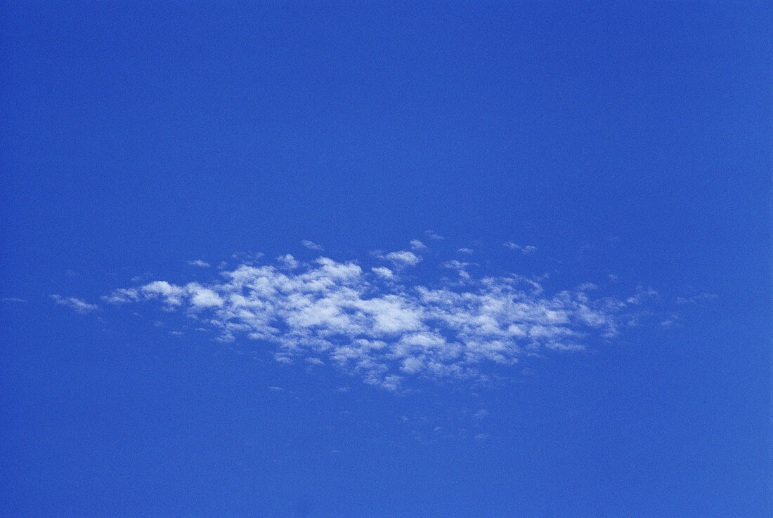 Altocumulus Floccus Clouds
