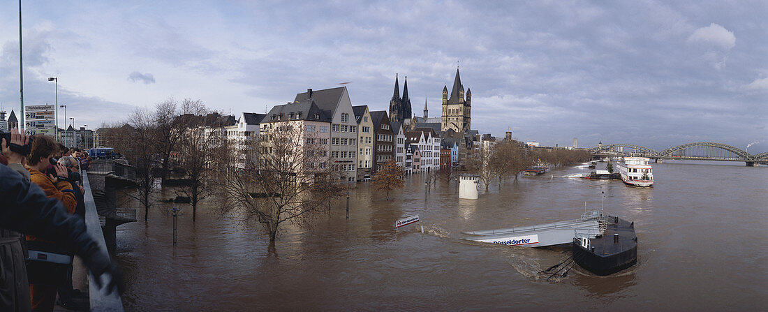 High Water of River Rhein