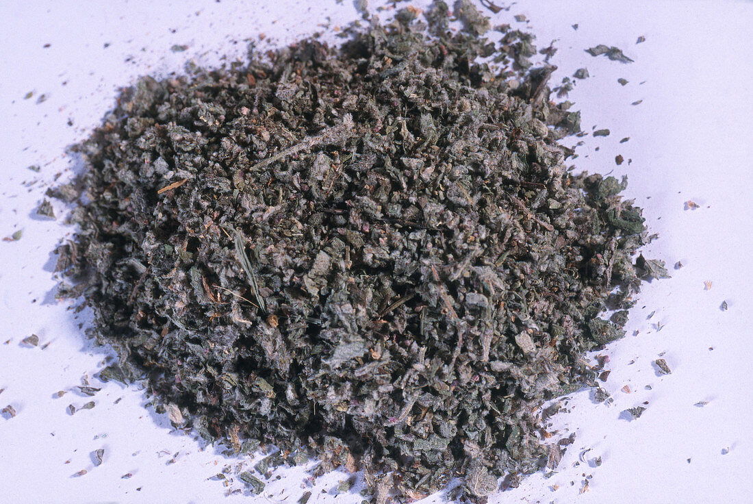 Pennyroyal Herb