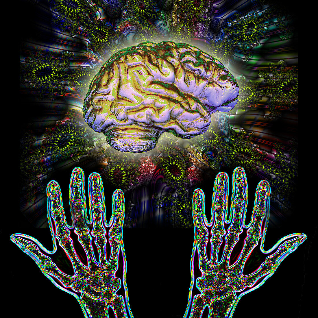 Brain Hands Energy