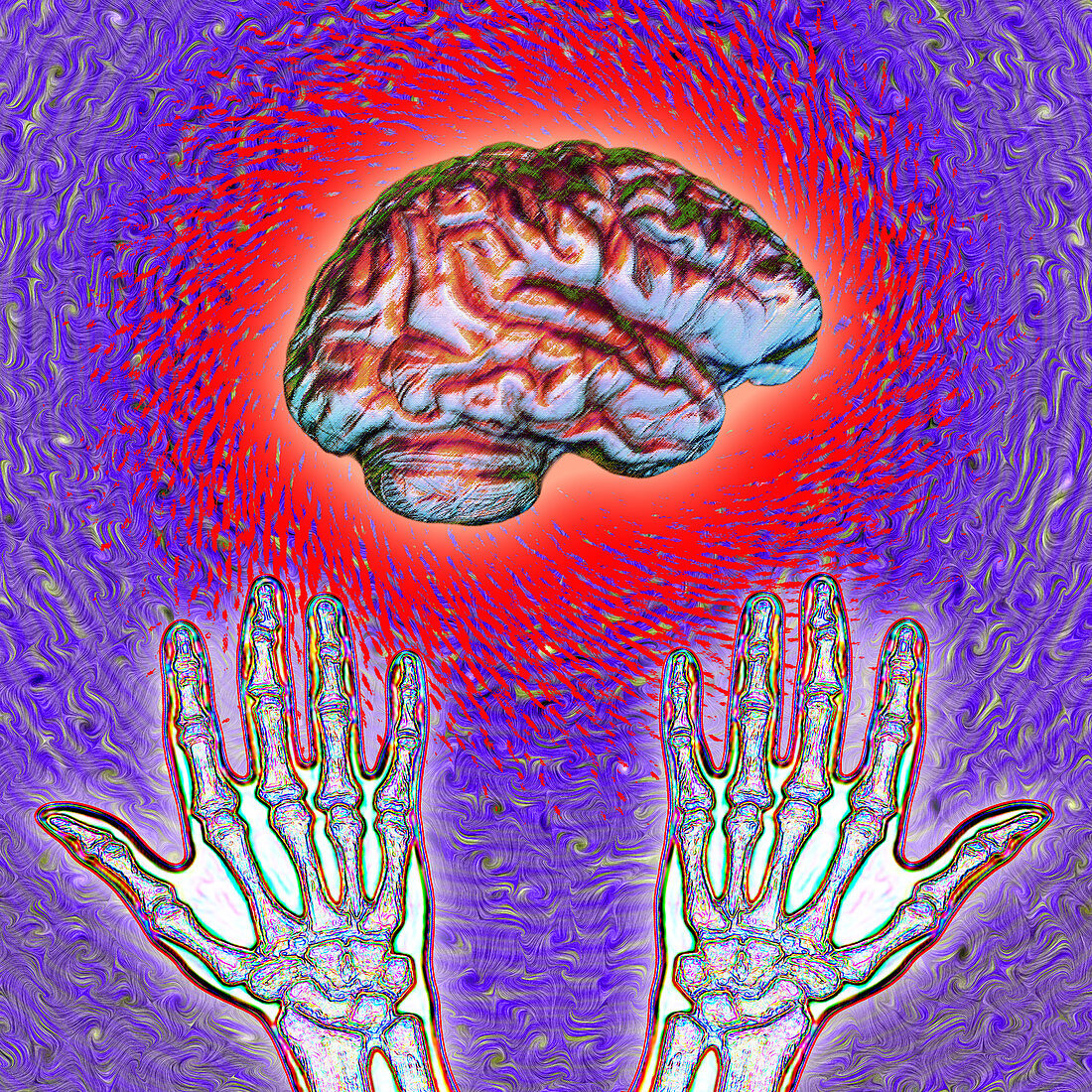 Brain and Hands Energy