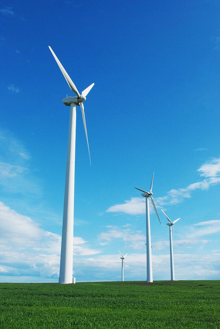 Wind Farm,Oregon