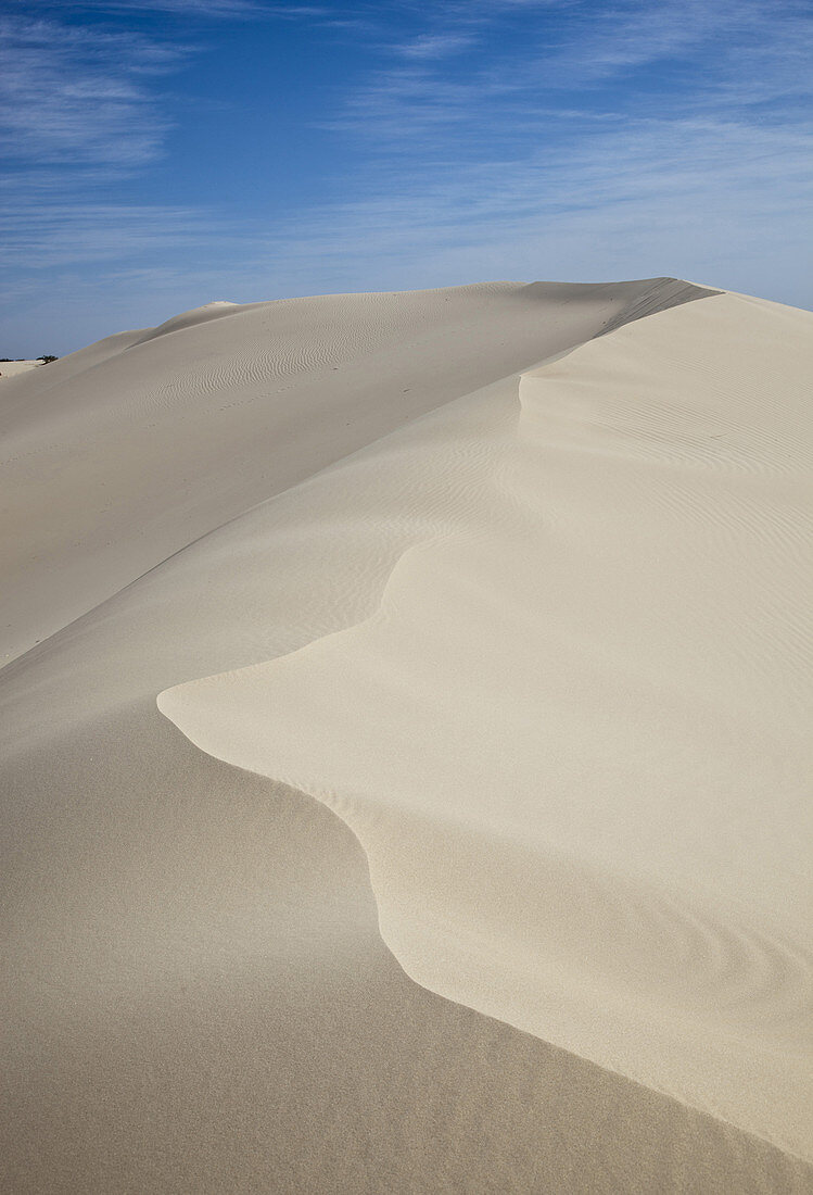 Monahan's Sandhills State Park