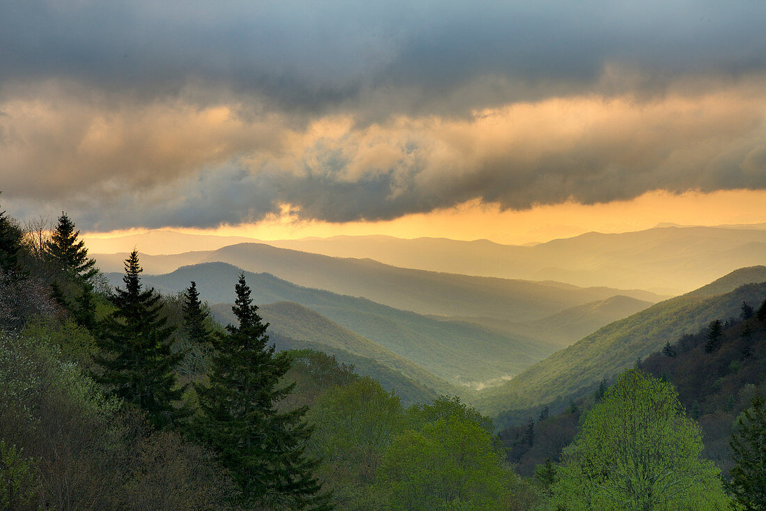 Sunrise,Great Smoky Mountains
