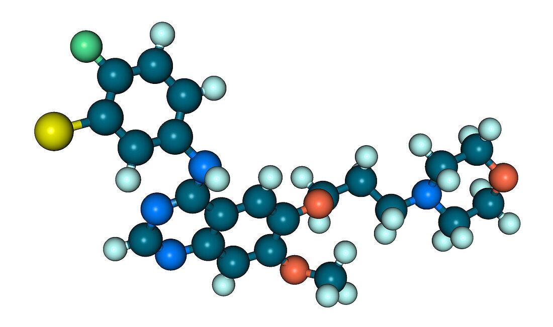 Gefitinib Molecular Model