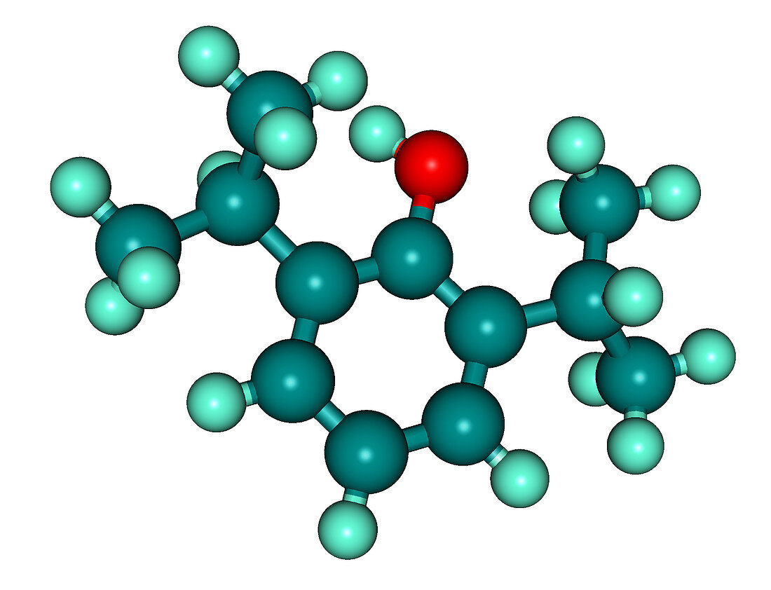 Propofol (Diprivan) molecular model