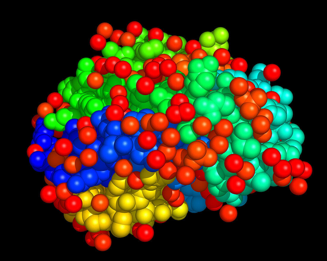 Haemoglobin