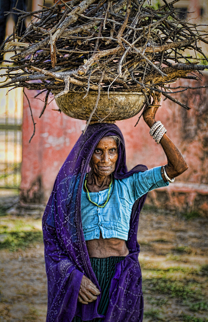 Indian Woman Carrying Firewood
