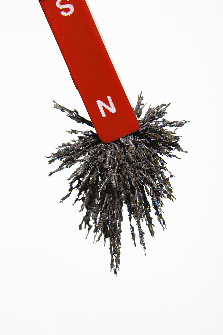 Magnet attracts iron filings