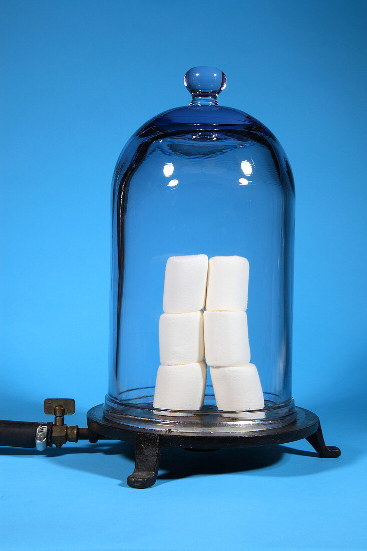 Marshmallows in a Vacuum,2 of 5
