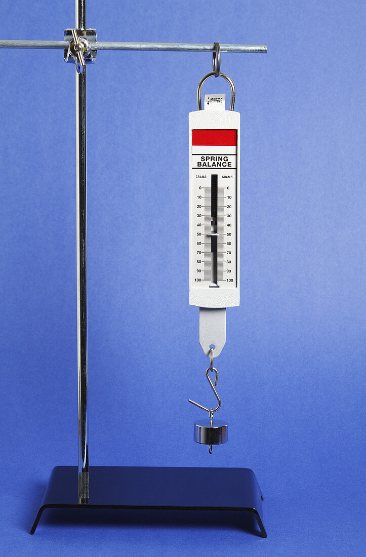 Mass Measurement,Hooke's Law