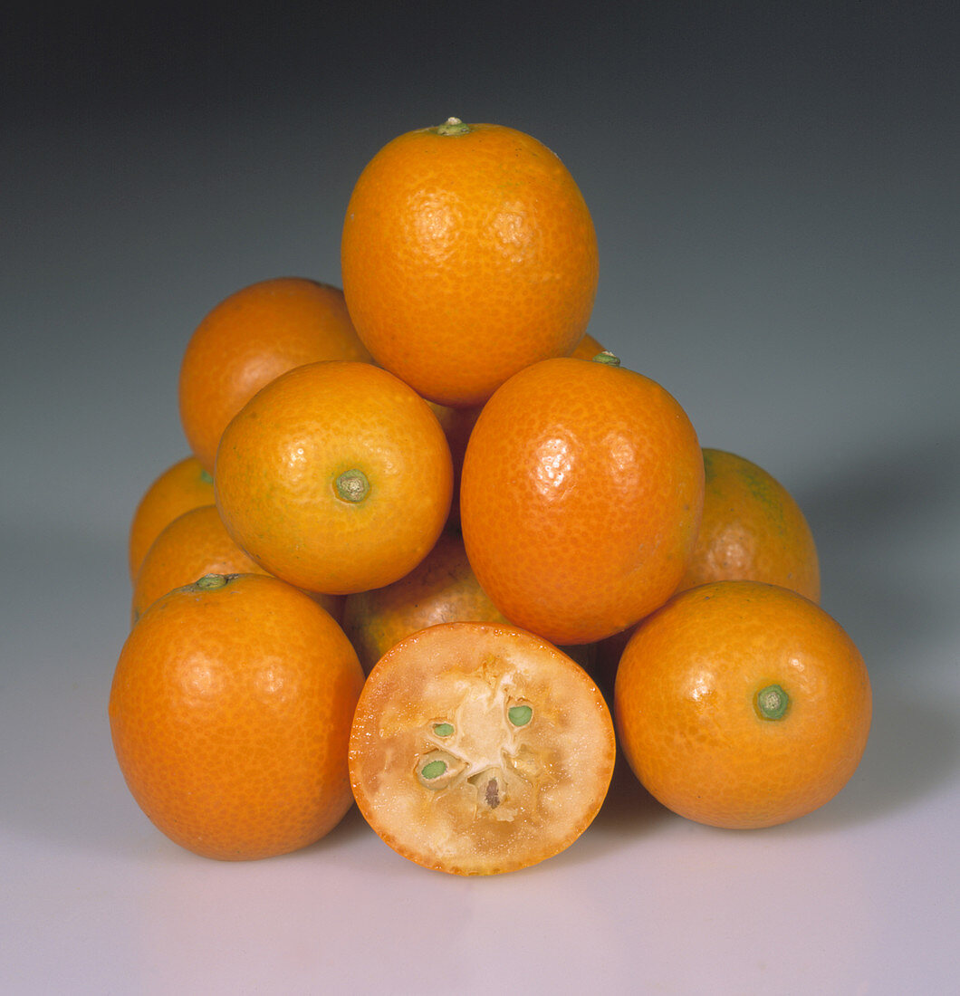 Meiwa Kumquatfruit