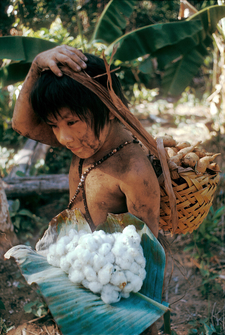 Venezuelan Indian with Harvest