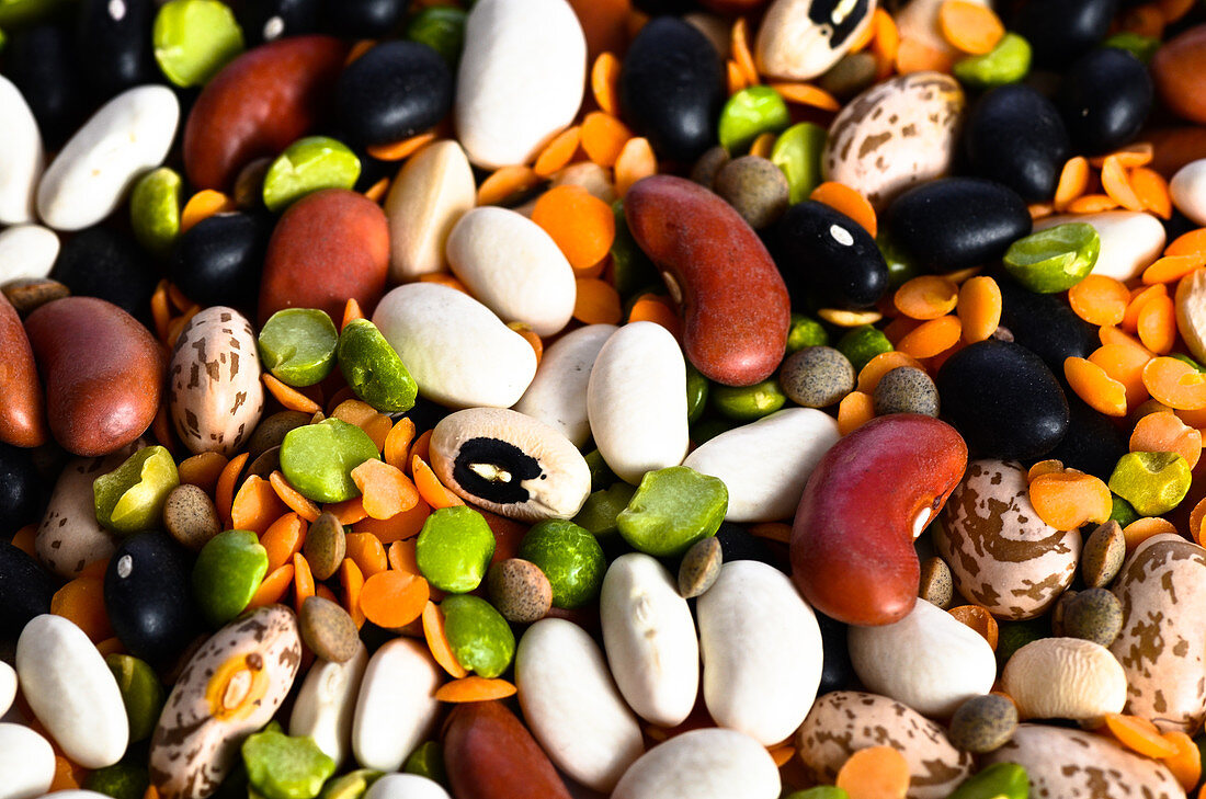 Assortment of Beans and Lentils