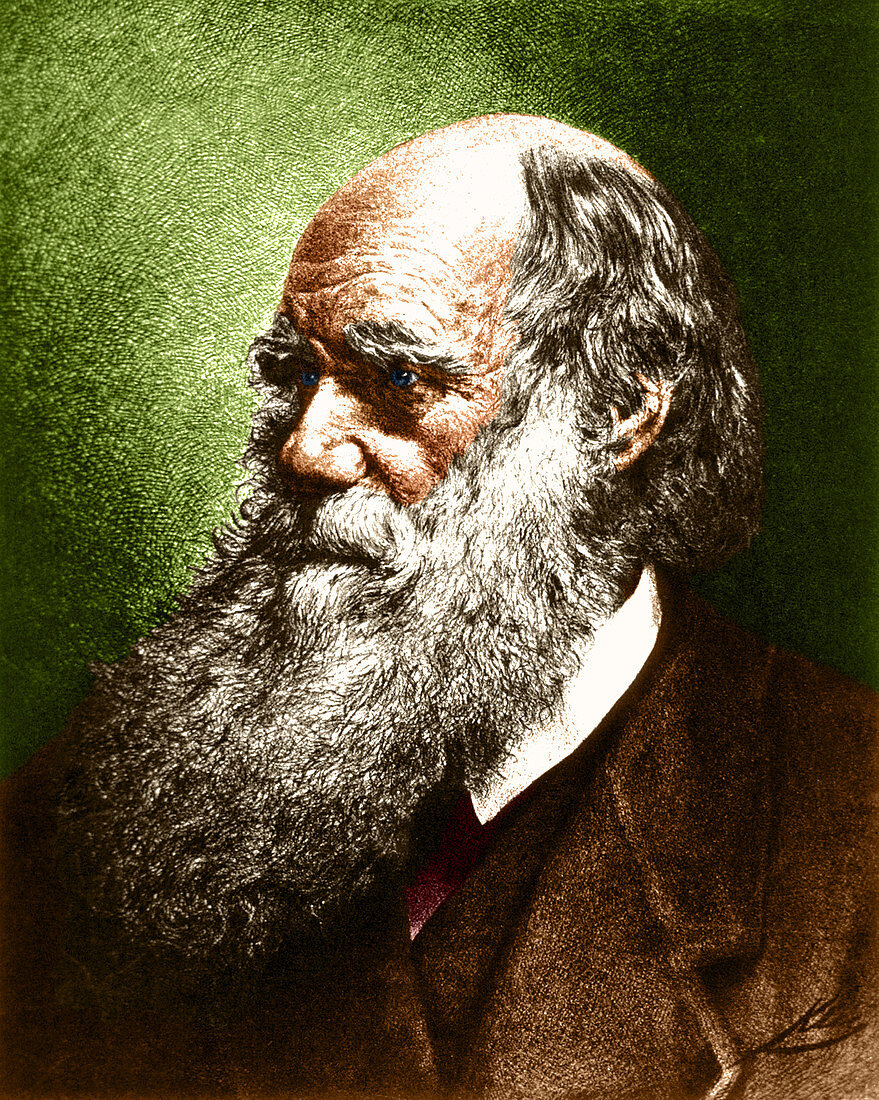 Charles Robert Darwin,English Naturalist