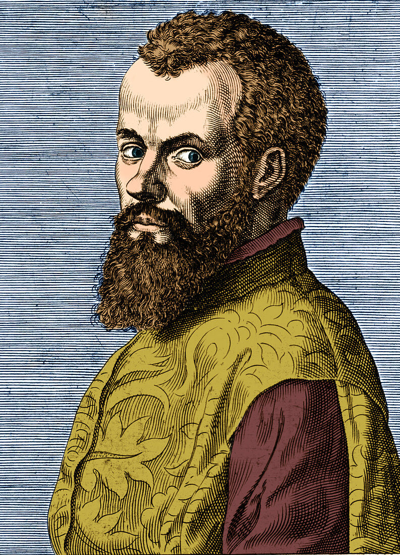 Andreas Vesalius,Flemish Anatomist