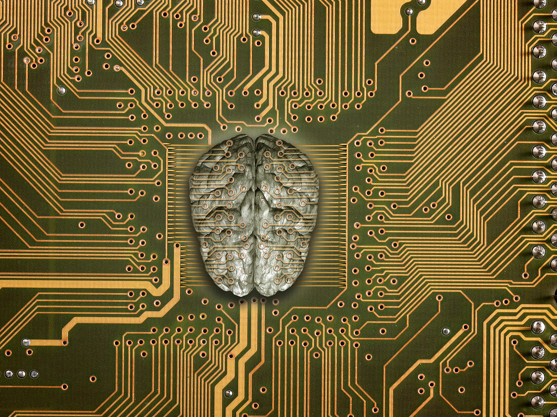 Brain with PCB