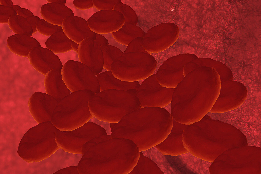 Red Blood Cells,Artwork