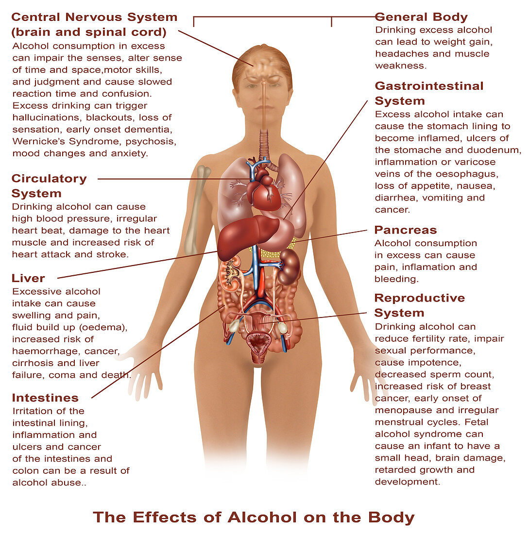 Effects of Alcohol Use