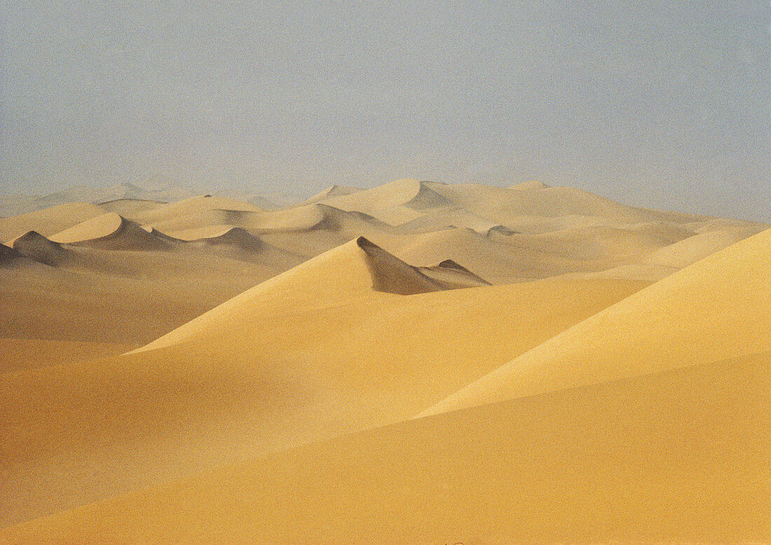 Sahara Desert,Algeria