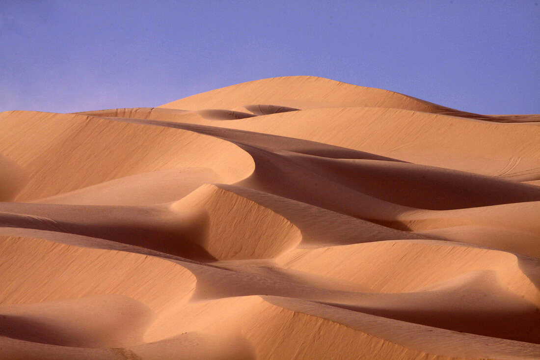 Imperial Valley Sand Dunes