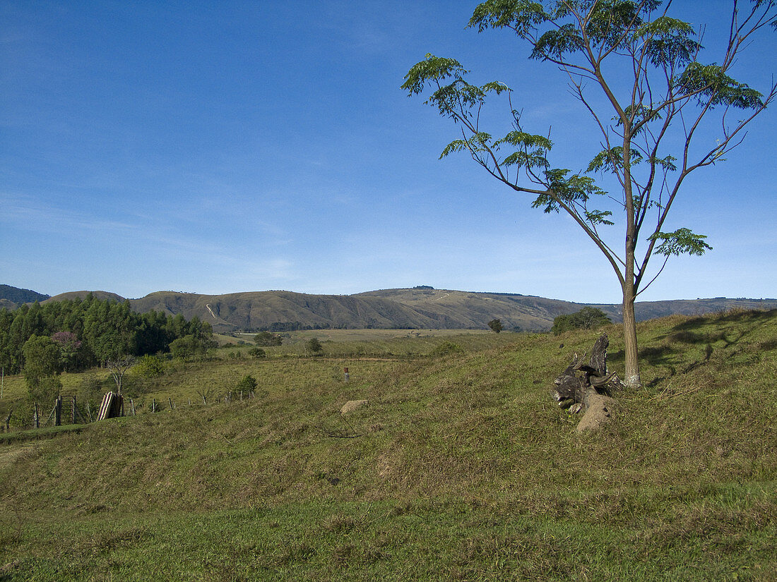Minas Gerais Landscape