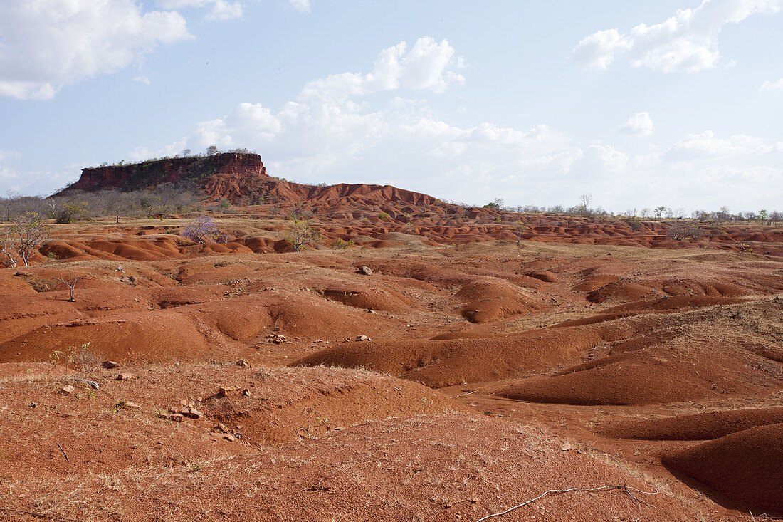 Gilbues Desert,Brazil