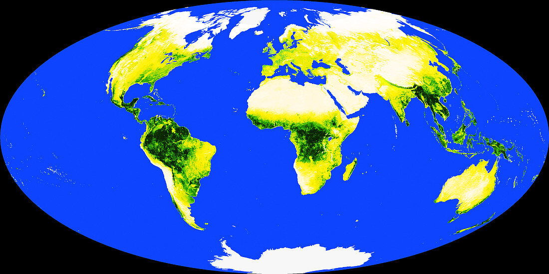 World Map with Tropical Rainforests