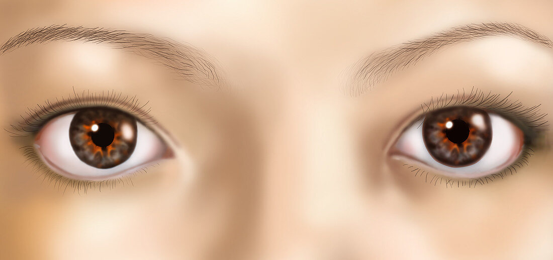 Asian Woman's Eyes